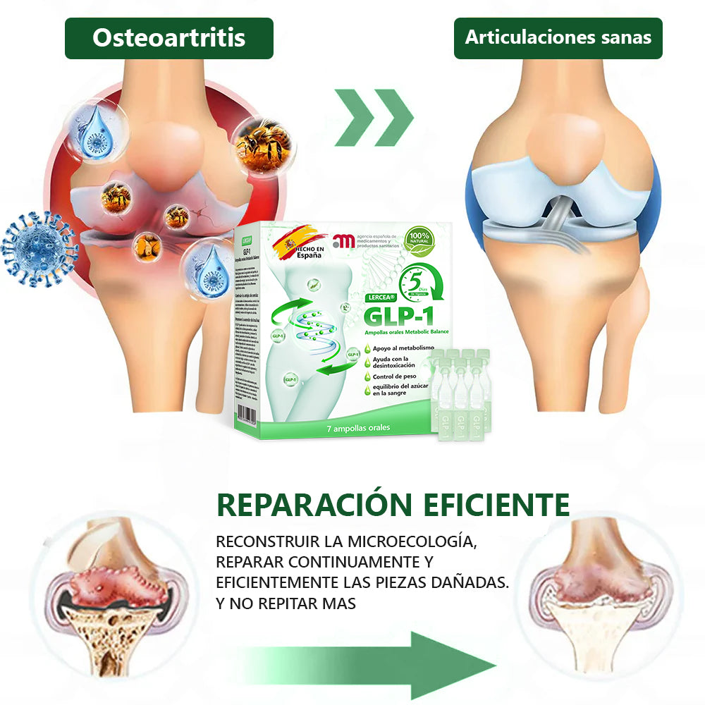 🇪🇸 Venta Oficial Directa |🌈🌈𝐋𝐨𝒕𝐦𝐚𝙮® 𝐺𝐿𝑃-1  Ampolla oral multifuncional (𝐒ólo una vez al día, cambios visibles en 7 días) Para obesidad, salud cardiovascular, diabetes, apnea del sueño, salud intestinal, problemas articulares y más✨